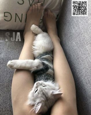 日本妈妈伦理_1080P在线观看视频